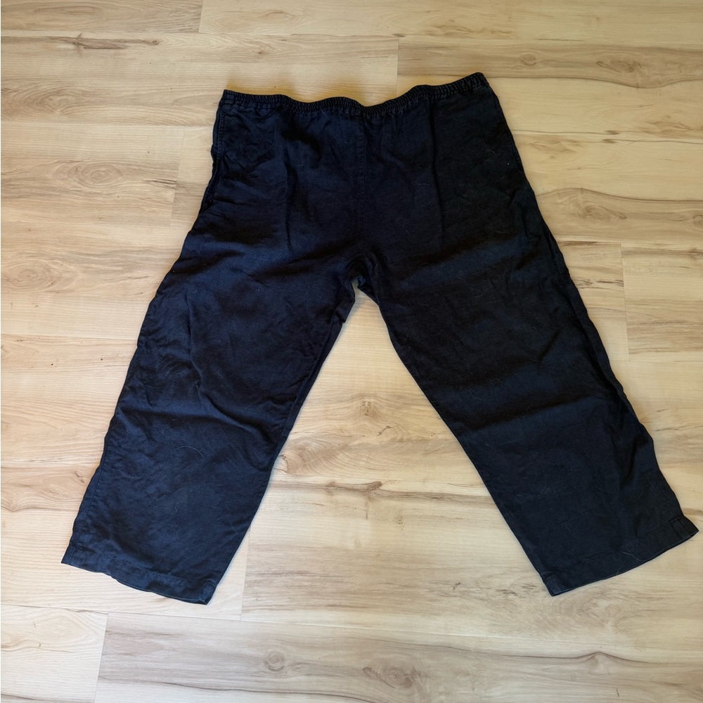 Eskandar Blue Linen Straight Wide-Leg Pants – Size 1 (Fits 2–3)